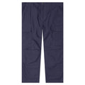 Regular Cargo Pant - Blue