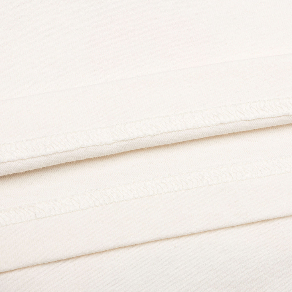 Feature x Todo Bien Agave Desert Tee - Cannoli Cream