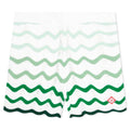 Gradient Wave Texture Shorts - Green/White