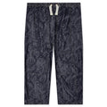 H.D. Pant - Indigo