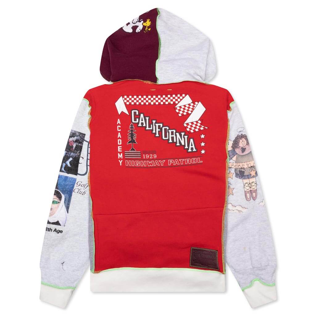 Hinckley Zip Hoodie - Multi